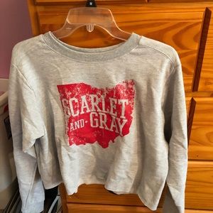 scarlet and grey cropped sweatshirt
